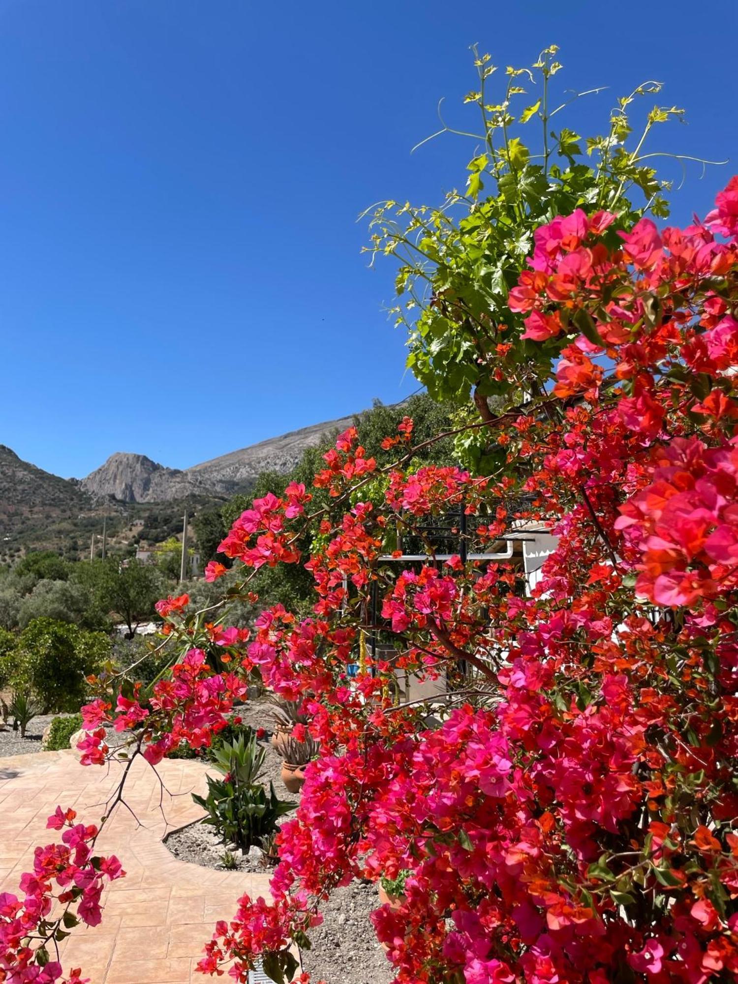 Finca Valle Verde Bed & Breakfast Alora Exterior photo