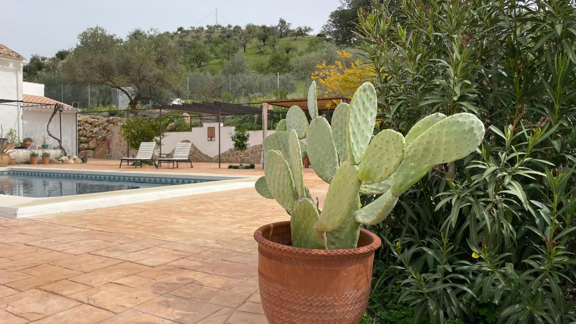 Finca Valle Verde Alora Exterior photo